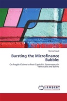Monica Cepak - Bursting the Microfinance Bubble: