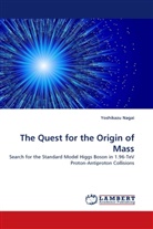 Yoshikazu Nagai - The Quest for the Origin of Mass