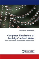 Subramanian Vaitheeswaran - Computer Simulations of Partially Confined Water