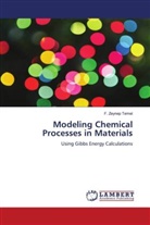 F Zeynep Temel, F. Zeynep Temel - Modeling Chemical Processes in Materials