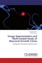 Shripa Kondra, Shripad Kondra, Vincent Torre - Image Segmentation and Multi-modal Study of Neuronal Growth Cones