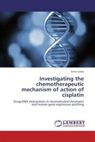 Anne Galea - Investigating the chemotherapeutic mechanism of action of cisplatin