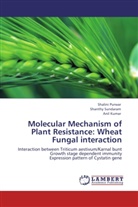 Anil Kumar, Shalin Purwar, Shalini Purwar, Shanth Sundaram, Shanthy Sundaram - Molecular Mechanism of Plant Resistance: Wheat Fungal interaction