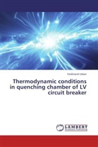 Ferdinand Urban - Thermodynamic conditions in quenching chamber of LV circuit breaker