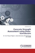 Sulabh Pansari - Concrete Strength Assessment using Piezo-transducers