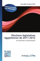 Jean-Mé Pasquet, Jean-Mée Pasquet - Élections législatives égyptiennes de 2011-2012