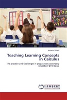 Ashebir Sidelil - Teaching Learning Concepts in Calculus