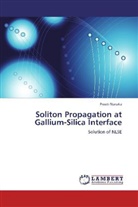 Preeti Naruka - Soliton Propagation at Gallium-Silica Interface