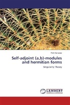 Piotr Karwasz - Self-adjoint (a,b)-modules and hermitian forms