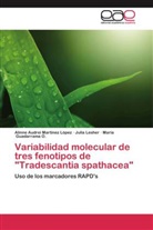 María Guadarrama O., Julia Lesher, Alinne Audrei Martínez López - Variabilidad molecular de tres fenotipos de "Tradescantia spathacea"