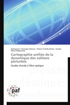 Patrice Tchofo Dinda, Claude Marie Ngabireng, Emmanuel Tchomgo Felenou - Cartographie unifiee de la