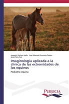 José Manuel Gonzalo-Orden, Joaquín Sáchez-Valle, Jesús Sánchez - Imaginología aplicada a la clínica de las extremidades de los equinos