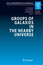 Jordanka Borissova, Valentin D. Ivanov, Ivo Saviane - Groups of Galaxies in the Nearby Universe