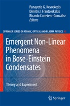 Ricar Carretero-González, Ricardo Carretero-González, Dimitri J. Frantzeskakis, Dimitr J Frantzeskakis, Dimitri J Frantzeskakis, Panayotis G. Kevrekidis - Emergent Nonlinear Phenomena in Bose-Einstein Condensates