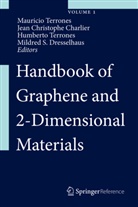 Christoph Charlier, Christophe Charlier, Mildred S. Dresselhaus, Humberto Terrones, Mauricio Terrones, Humberto Terrones et al - Handbook of Graphene and 2-Dimensional Materials, 2 Pts.