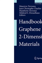 Christophe Charlier, Mildred S. Dresselhaus, Humberto Terrones, Mauricio Terrones - Handbook of Graphene and 2-Dimensional Materials, 2 Teile