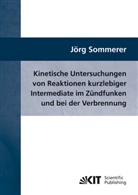 Jörg Sommerer - Kinetische Untersuchungen von Reaktionen kurzlebiger Intermediate im Zündfunken und bei der Verbrennung