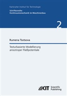 Rumena Tsotsova - Texturbasierte Modellierung anisotroper Fließpotentiale