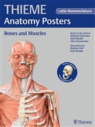 Michael Schuenke, Erik Schulte, Udo Schumacher, Michael Schünke - Thieme Anatomy Poster, Latin Nomenclature, Bones and Muscles