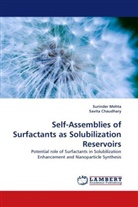 Savita Chaudhary, Surinde Mehta, Surinder Mehta - Self-Assemblies of Surfactants as Solubilization Reservoirs