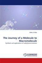 Shibu G Pillai - The Journey of a Molecule to Macromolecule