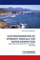 Zelo Anatole Mangombo - ELECTROGENERATION OF HYDROXYL RADICALS FOR WATER DISINFECTION