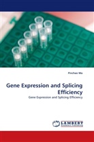 Pinchao Ma - Gene Expression and Splicing Efficiency