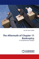 Luís M Serra Coelho, Luís M. Serra Coelho - The Aftermath of Chapter 11 Bankruptcy