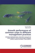 Sumair Abbas, Sumaira Abbas, Iftikhar Ahmed - Growth performance of common carps in different management practices