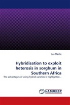 Leo Mpofu - Hybridisation to exploit heterosis in sorghum in Southern Africa