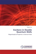 ¿T¿Pán Uxa, Stepán Uxa, t pán Uxa - Excitons in Double Quantum Wells