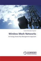 Golam Moktader Nayeem - Wireless Mesh Networks