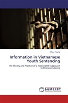 Chau Hoang - Information in Vietnamese Youth Sentencing