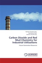 Raj Kishor Patel, Raj Kishore Patel, Banki Ray, Bankim Chandra Ray, Ramesh Chandr Sahu, Ramesh Chandra Sahu - Carbon Dioxide and Red Mud Chemistry for Industrial Utilizations