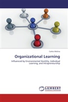 Carlos Molina - Organizational Learning