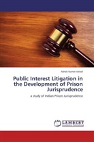 Ashok Kumar Vatsal - Public Interest Litigation in the Development of Prison Jurisprudence