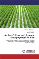Monzur Hossain, Rafiu Islam, Rafiul Islam, Sharmi Shahnewaz, Sharmin Shahnewaz - Anther Culture and Somatic Embryogenesis in Rice