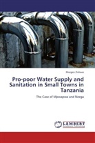 Morgen Zivhave - Pro-poor Water Supply and Sanitation in Small Towns in Tanzania