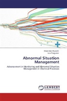 Estanisla Musulin, Estanislao Musulin, Luis Puigjaner - Abnormal Situation Management