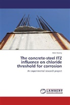 Amit Kenny - The concrete-steel ITZ influence on chloride threshold for corrosion