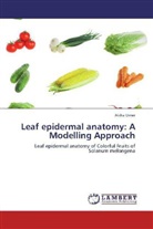 Aisha Umer - Leaf epidermal anatomy: A Modelling Approach