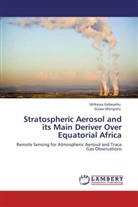 Milkess Gebeyehu, Milkessa Gebeyehu, Gizaw Mengistu - Stratospheric Aerosol and its Main Deriver Over Equatorial Africa