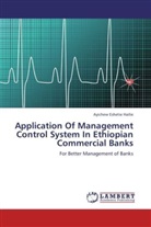 Ayichew Eshetie Hailie - Application Of Management Control System In Ethiopian Commercial Banks