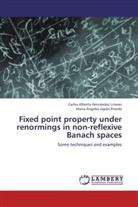 Carlos Albert Hernández Linares, Carlos Alberto Hernández Linares, Ma Japón Pineda, María Ángeles Japón Pineda - Fixed point property under renormings in non-reflexive Banach spaces