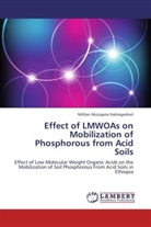 Million Mulugeta Habtegerbrel - Effect of LMWOAs on Mobilization of Phosphorous from Acid Soils