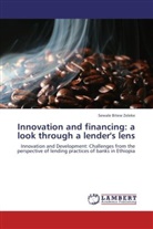 Sewale Bitew Zeleke - Innovation and financing: a look through a lender's lens