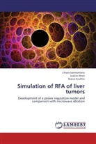 Marco Knaflitz, Chiar Sammartano, Chiara Sammartano, Joaki Wren, Joakim Wren - Simulation of RFA of liver tumors