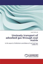 Jacek Sobczyk - Unsteady transport of adsorbed gas through coal matrix