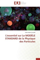 Salah Eddine Ennadifi, Ennadifi-s - L essentiel sur le modele