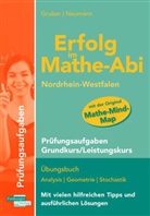 Helmu Gruber, Helmut Gruber, Robert Neumann - Erfolg im Mathe-Abi 2015: Nordrhein-Westfalen, Prüfungsaufgaben Grundkurs / Leistungskurs
